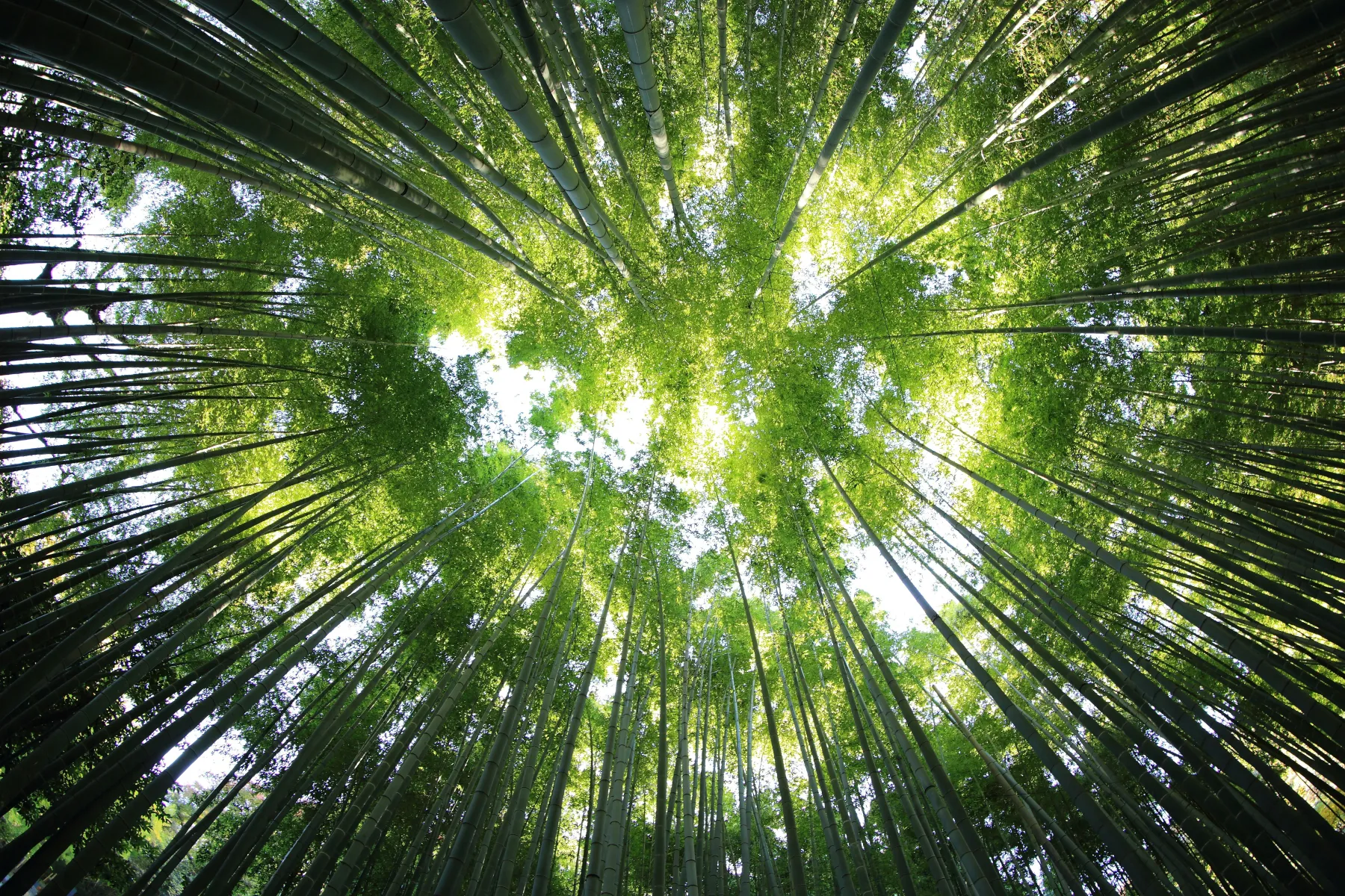 Textilreinigung Umwelt